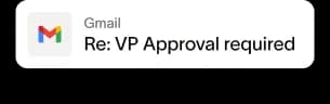 Email: Re: VP Approval required