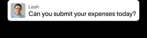 Chat message: Can you submit your expenses today?